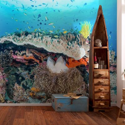 Vlies Fototapete - Coral Reef - Größe 400 x 280 cm