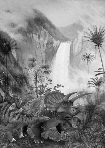 Papier peint photo intissé - Cascade du Jurassique - format 200 x 280 cm 2