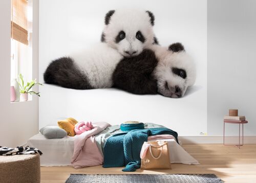 Vlies Fototapete - Giant Panda - Größe 300 x 280 cm
