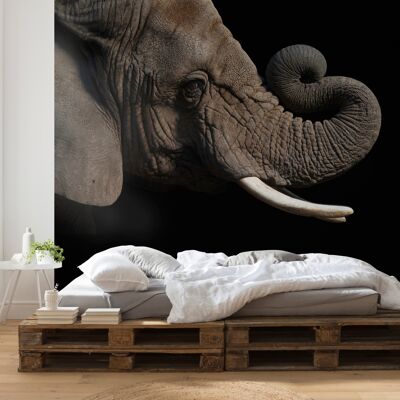 Papel pintado fotográfico no tejido - Elefante Africano - tamaño 300 x 280 cm