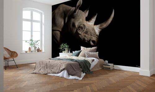 Vlies Fototapete - Rhinozeros - Größe 400 x 280 cm