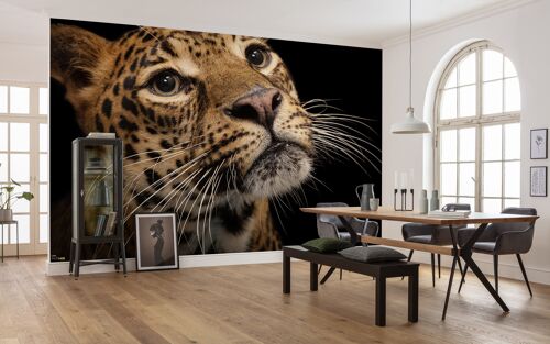 Vlies Fototapete - Javan Leopard - Größe 400 x 280 cm