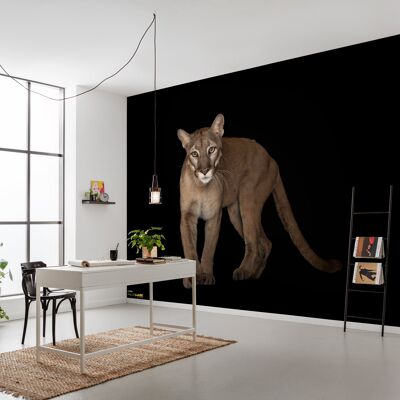 Vlies Fototapete - Florida Panther - Größe 400 x 280 cm