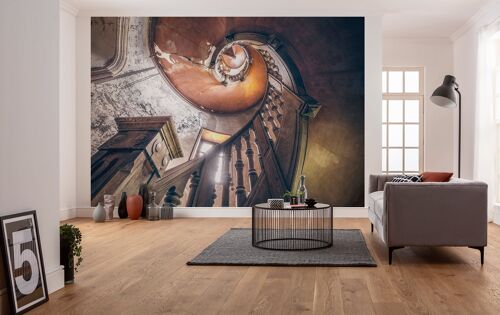 Vlies Fototapete - Oak Spiral - Größe 400 x 280 cm