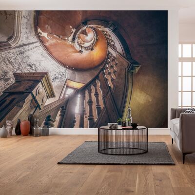 Vlies Fototapete - Oak Spiral - Größe 400 x 280 cm