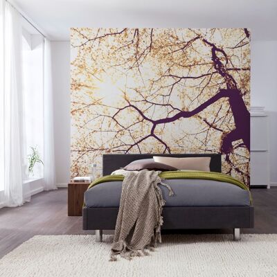 Non-woven photo wallpaper - Sunshine - size 250 x 250 cm