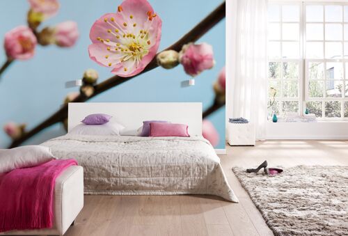 Vlies Fototapete - Peach Blossom - Größe 350 x 250 cm