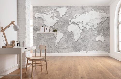 Vlies Fototapete - World Relief  - Größe 350 x 250 cm