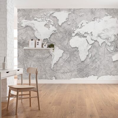 Vlies Fototapete - World Relief  - Größe 350 x 250 cm