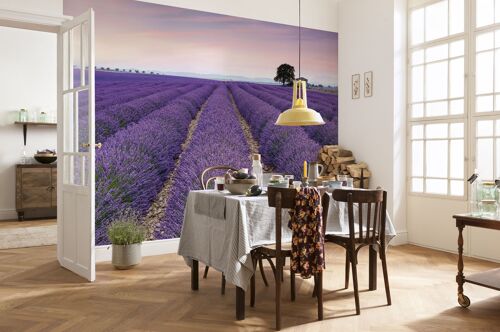 Vlies Fototapete - Provence - Größe 400 x 260 cm