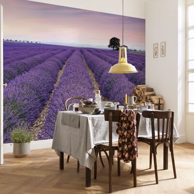 Vlies Fototapete - Provence - Größe 400 x 260 cm