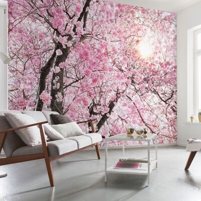 Papel pintado fotográfico no tejido - Bloom - tamaño 400 x 260 cm