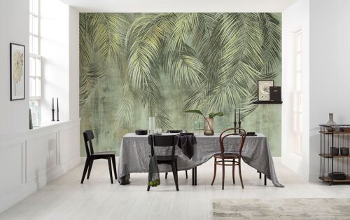Vlies Fototapete - Palm Fronds - Größe 350 x 250 cm