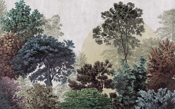 Papier peint photo intissé - Bois Brumeux - format 400 x 250 cm 2