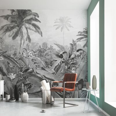 Non-woven photo wallpaper - Amazonia Black and White - size 400 x 250 cm