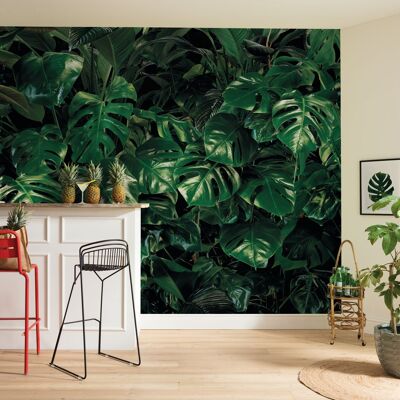 Papel pintado fotográfico no tejido - Tropical Wall - tamaño 400 x 250 cm