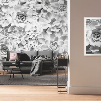 Papel pintado fotográfico no tejido - Tonos Blanco y Negro - Tamaño 400 x 250 cm