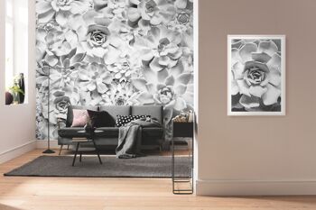 Papier peint photo intissé - Nuances noir et blanc - Format 400 x 250 cm