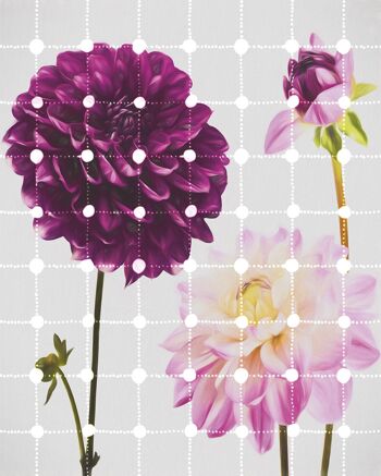 Papier peint photo intissé - Fleurs & Pois - format 200 x 250 cm 2