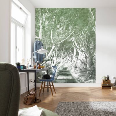 Vlies Fototapete - Alley Graphite - Größe 200 x 250 cm