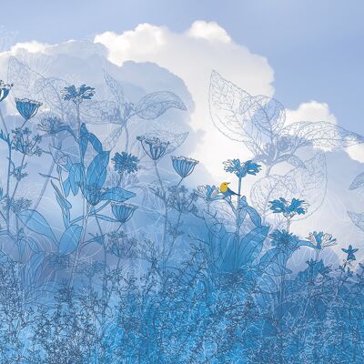 Papel pintado fotográfico no tejido - Cielo azul - tamaño 200 x 250 cm