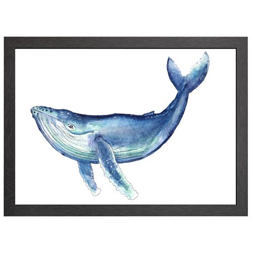 A2 poster whale in frame - joyin