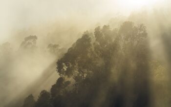 Papier peint photo intissé - Misty Mountain - format 400 x 250 cm 2