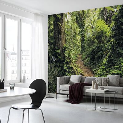 Non-woven photo wallpaper - Path of Dreams - size 400 x 250 cm