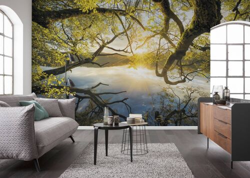 Buy wholesale Non-woven photo wallpaper - Golden Embrace - size 400 x 250 cm