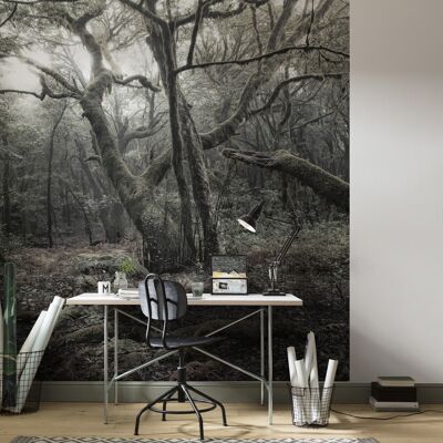 Non-woven photo wallpaper - the model - size 250 x 280 cm