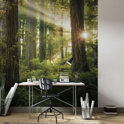 Non-woven photo wallpaper - Goblins Woods - size 250 x 280 cm