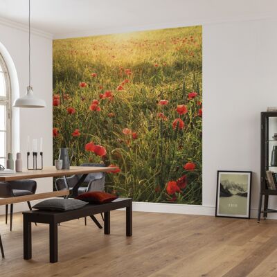 Vlies Fototapete - Poppy World - Größe 250 x 280 cm