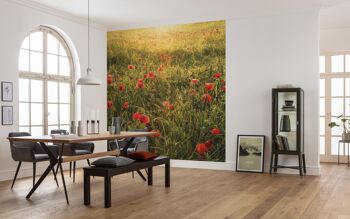 Papier peint photo intissé - Poppy World - format 250 x 280 cm 1
