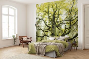 Papier peint photo intissé - L'arbre de rêve - format 300 x 280 cm 1