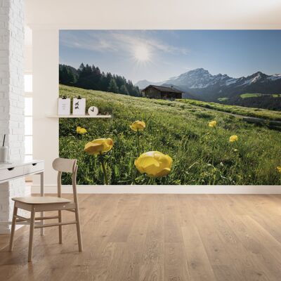 Papel pintado fotográfico no tejido - felicidad en los Alpes - tamaño 400 x 280 cm