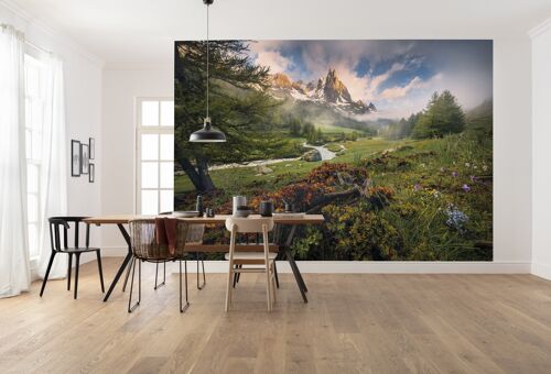 - wholesale 280 400 cm The Non-woven Paradise - photo wallpaper x size Last Buy