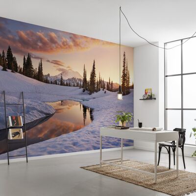 Non-woven photo wallpaper - America the Beautiful - size 450 x 280 cm