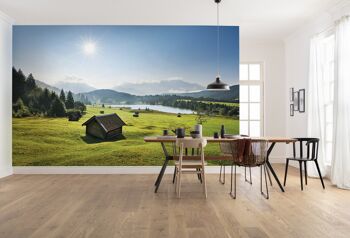 Papier peint photo intissé - prairie de montagne devant le Karwendel - format 450 x 280 cm 1