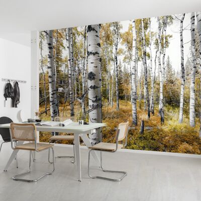 Papel pintado fotográfico no tejido - Aspenwoods de colores - Tamaño 450 x 280 cm