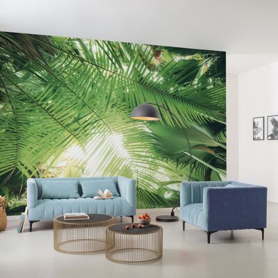 Papel pintado fotográfico no tejido - techo de selva - tamaño 450 x 280 cm