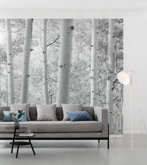 Buy wholesale Non-woven photo wallpaper aspen cm forest x size - 280 - 450