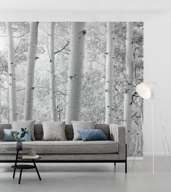 Papier peint photo intissé - forêt de trembles - format 450 x 280 cm 1