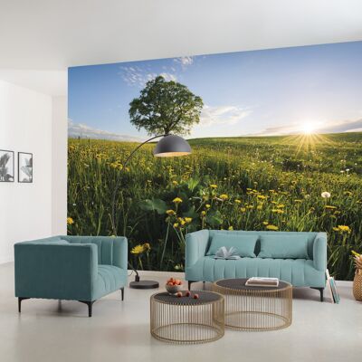 Mural de tejido no tejido - primavera en el campo - medidas 450 x 280 cm