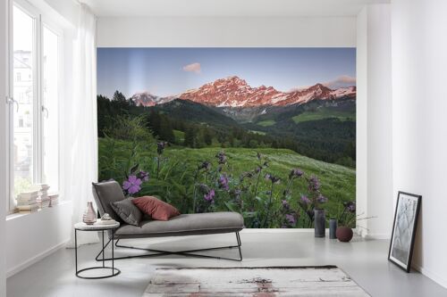 Vlies Fototapete - Picturesque Switzerland - Größe 450 x 280 cm