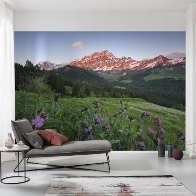 Carta da parati fotografica in tessuto non tessuto - Pittoresca Svizzera - dimensioni 450 x 280 cm