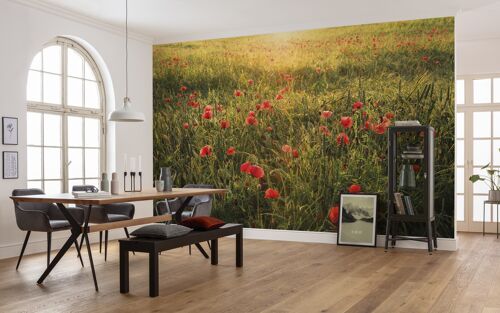 Vlies Fototapete - Poppy World - Größe 450 x 280 cm