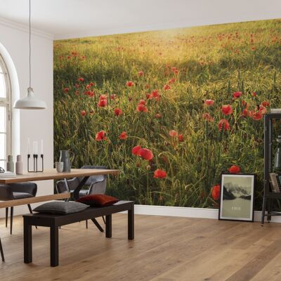 Papel pintado fotográfico no tejido - Poppy World - tamaño 450 x 280 cm