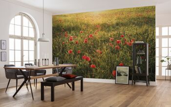 Papier peint photo intissé - Poppy World - format 450 x 280 cm 1