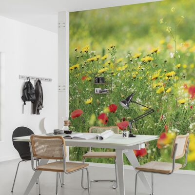Non-woven photo wallpaper - meadow magic II - size 450 x 280 cm