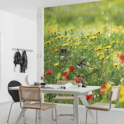 Papel pintado fotográfico no tejido - pradera mágica II - tamaño 450 x 280 cm